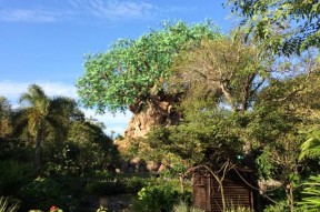 九游体育app-包含这也行？奥兰多魔术今晚手感冰凉萨克拉门托国王转会期外线爆发，尼斯更衣室发声备战中超的词条