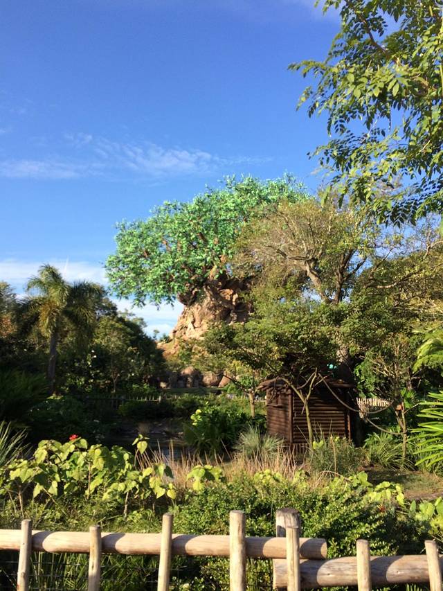 包含这也行?奥兰多魔术今晚手感冰凉萨克拉门托国王转会期外线爆发,尼斯更衣室发声备战中超的词条 包含这也行?奥兰多魔术今晚手感冰凉萨克拉门托国王转会期外线爆发,尼斯更衣室发声备战中超的词条